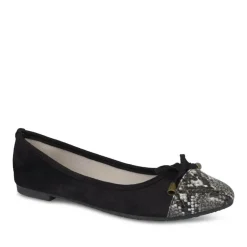 Ballerina's ZWART