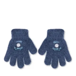Handschoenen BLAUW