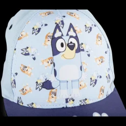 Pet BLAUW