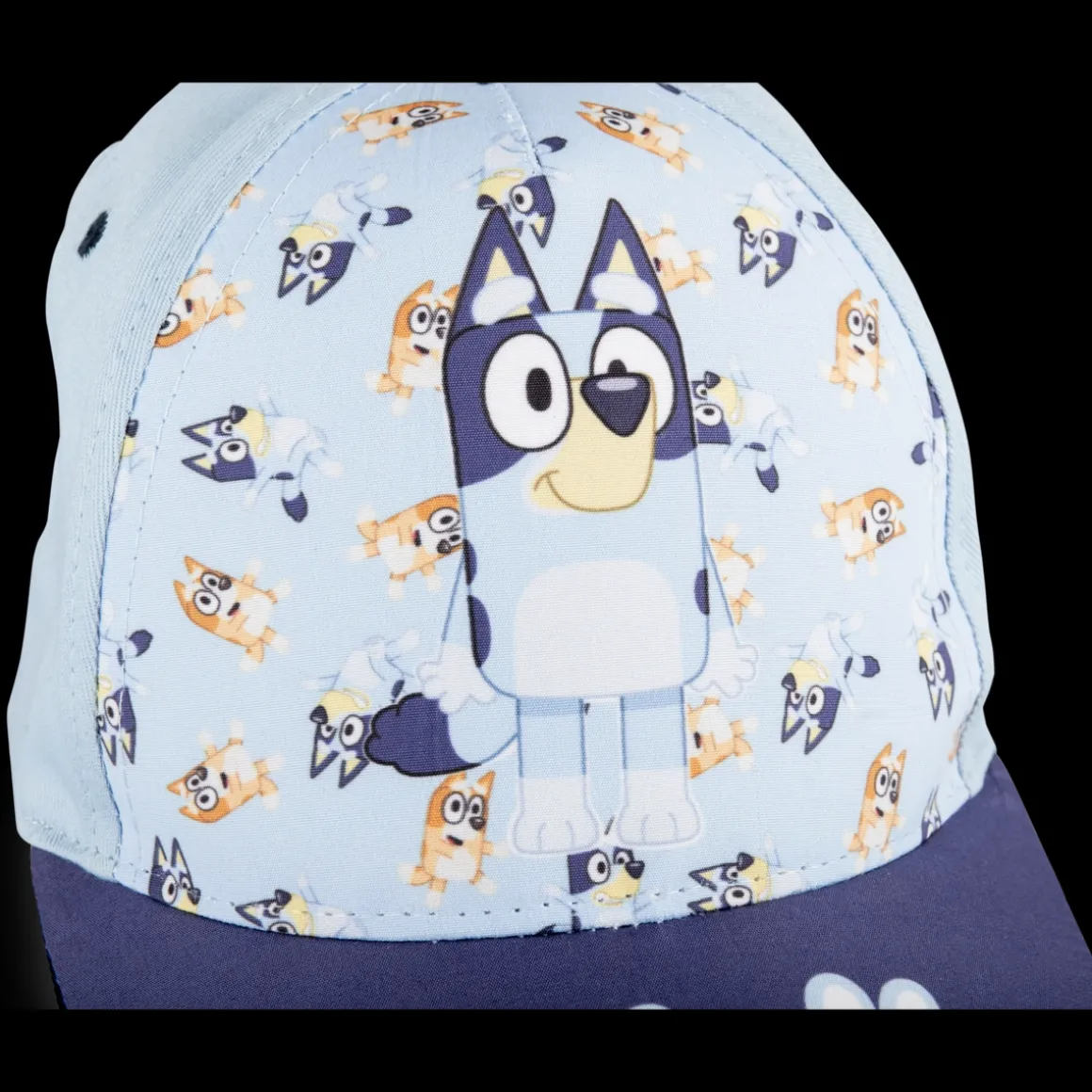 Pet BLAUW
