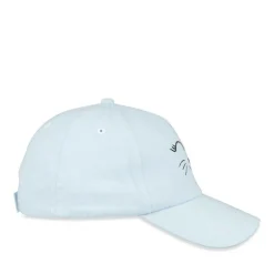 Pet BLAUW