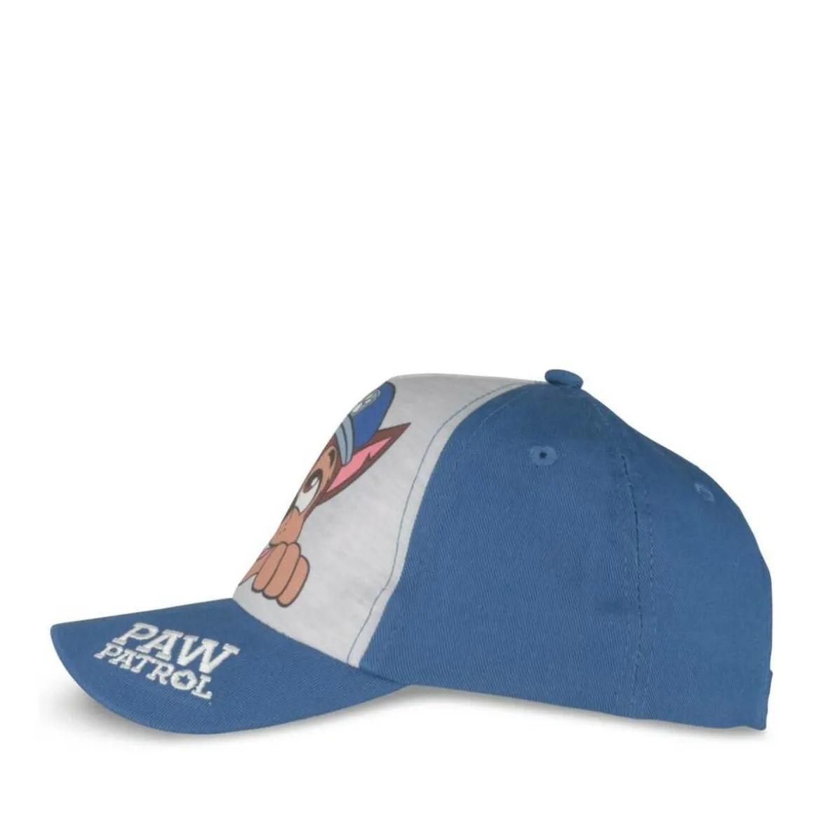 Pet BLAUW