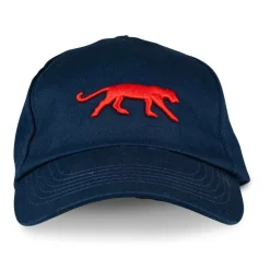 Pet BLAUW