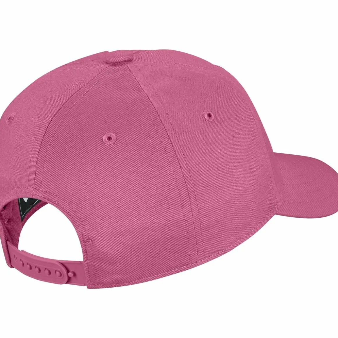 Pet ROZE