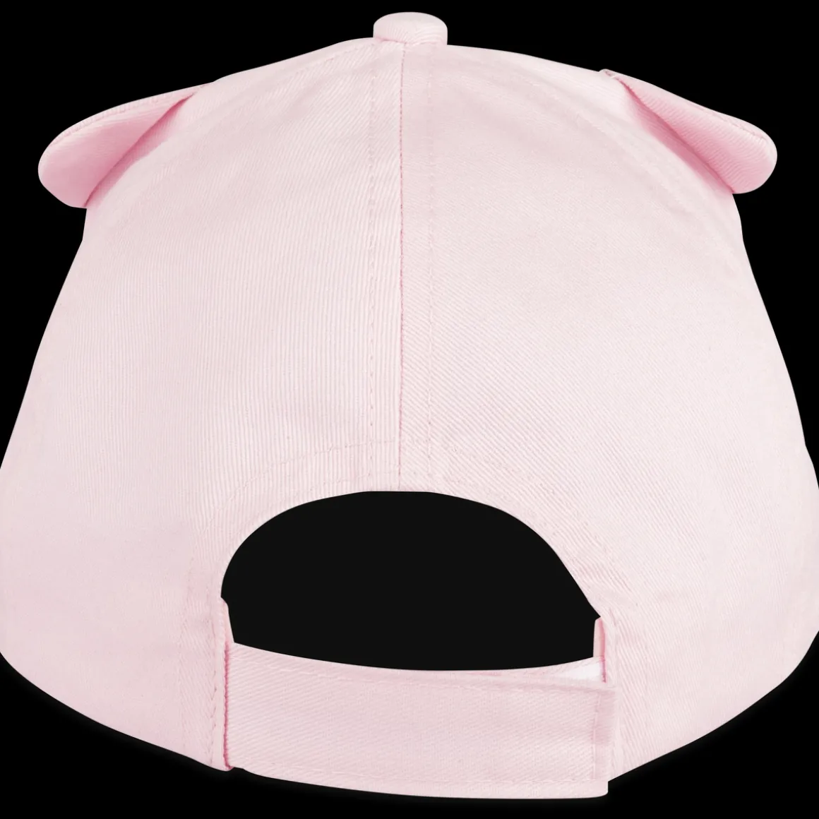 Pet ROZE