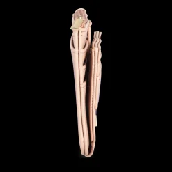 Portefeuille ROZE
