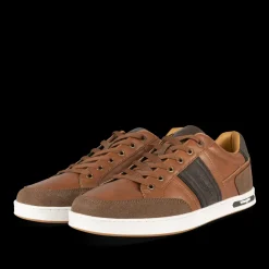 Sneakers COGNACKLEUR