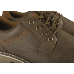 Sneakers KASTANJEBRUIN
