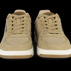 Sneakers TAUPE