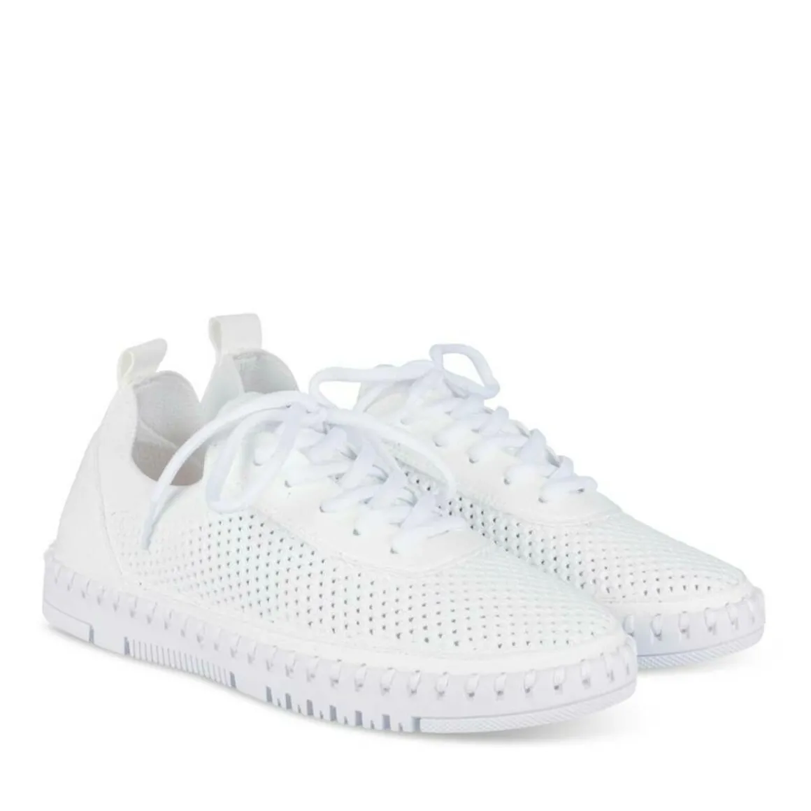 Sneakers WIT
